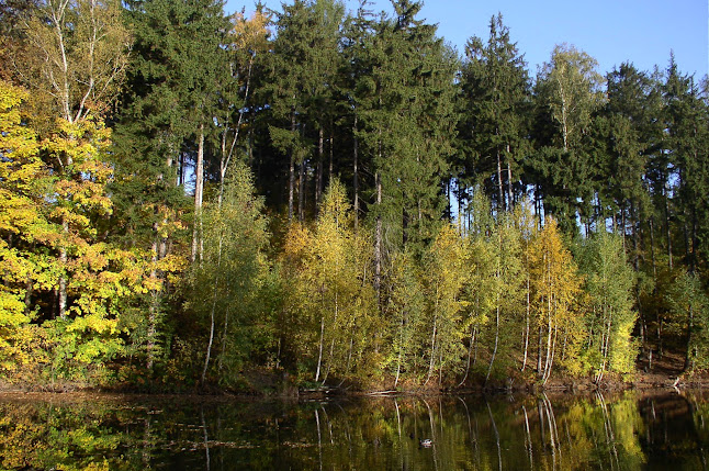 Komentáře a recenze na Přírodní lokalita Pivovarské rybníky