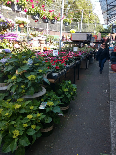 Florist «Metropolitan Plant & Flower», reviews and photos, 840 NJ-17, Paramus, NJ 07652, USA