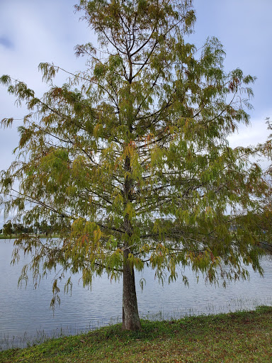 Recreation Center «Wa-Ke Hatchee Park Recreation Center», reviews and photos, 16760 Bass Rd, Fort Myers, FL 33908, USA