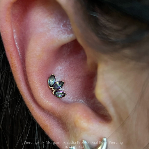Explore cute bat tattoo ideas, creative tattoo ideas in Boston, available at Arcadia Body Piercing
