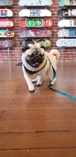 Skateboard Shop «Atlas Skateboard Store», reviews and photos, 209 2nd Ave, San Mateo, CA 94401, USA