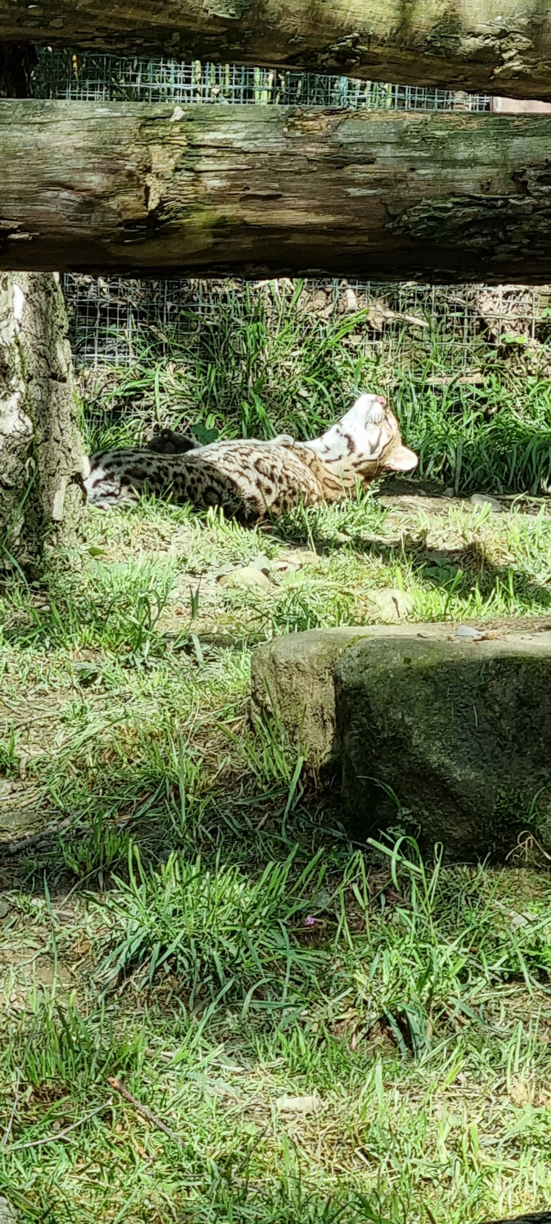 Photo n° 27 de l'avis de Anne.a fait le 25/04/2022 à 13:04