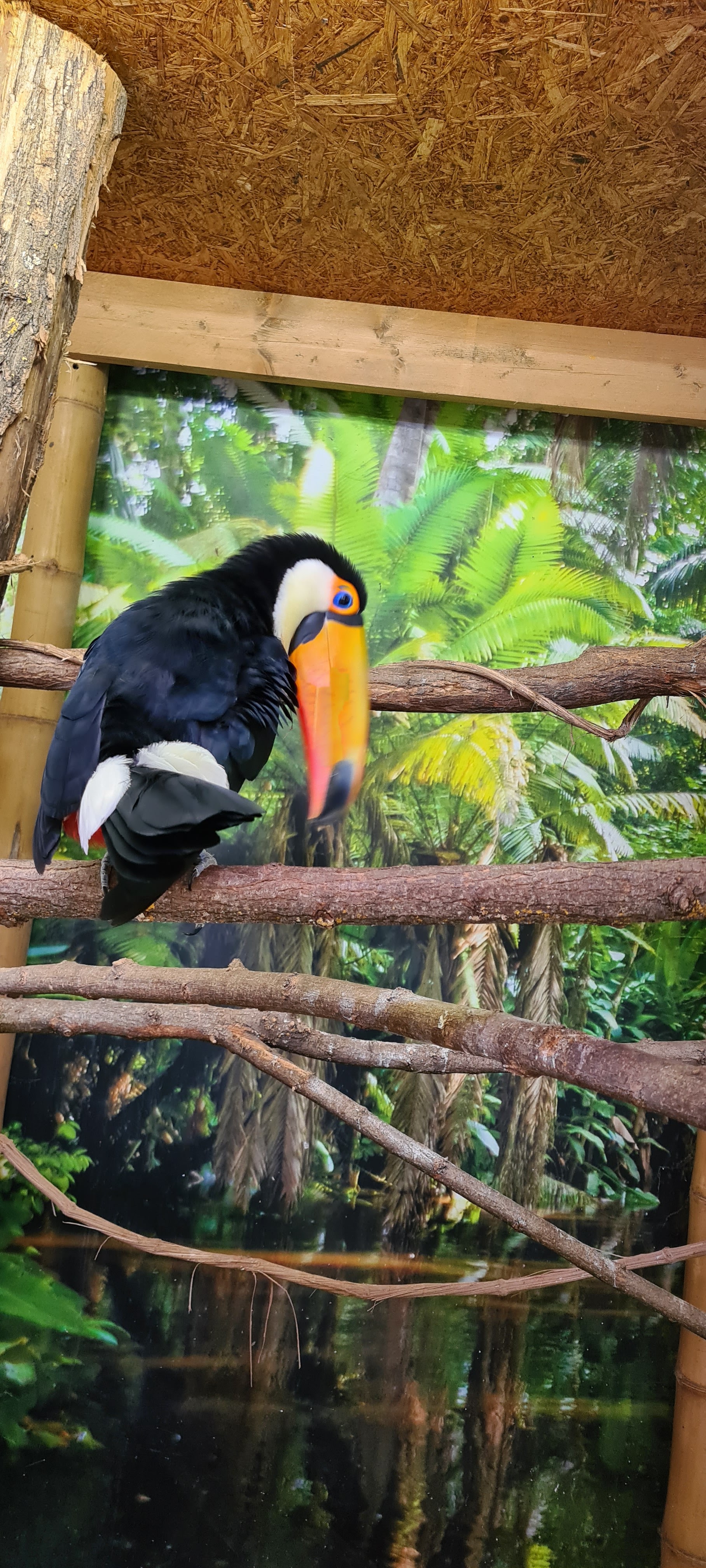 Photo n° 1 de l'avis de Fabien.o fait le 07/08/2023 à 11:37