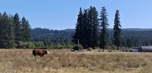 Train Station «Chelatchie Prairie», reviews and photos, 207 N Railroad Ave, Yacolt, WA 98675, USA