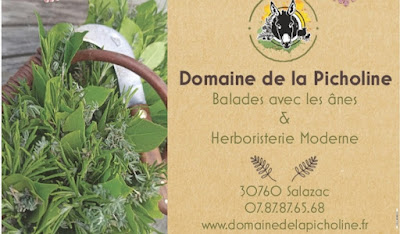 Domaine de la Picholine à Salazac