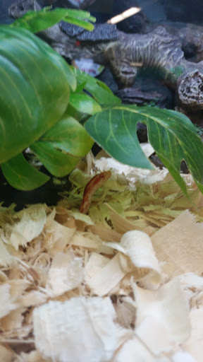 Pet Supply Store «Petco Animal Supplies», reviews and photos, 877 Central Ave, Dover, NH 03820, USA