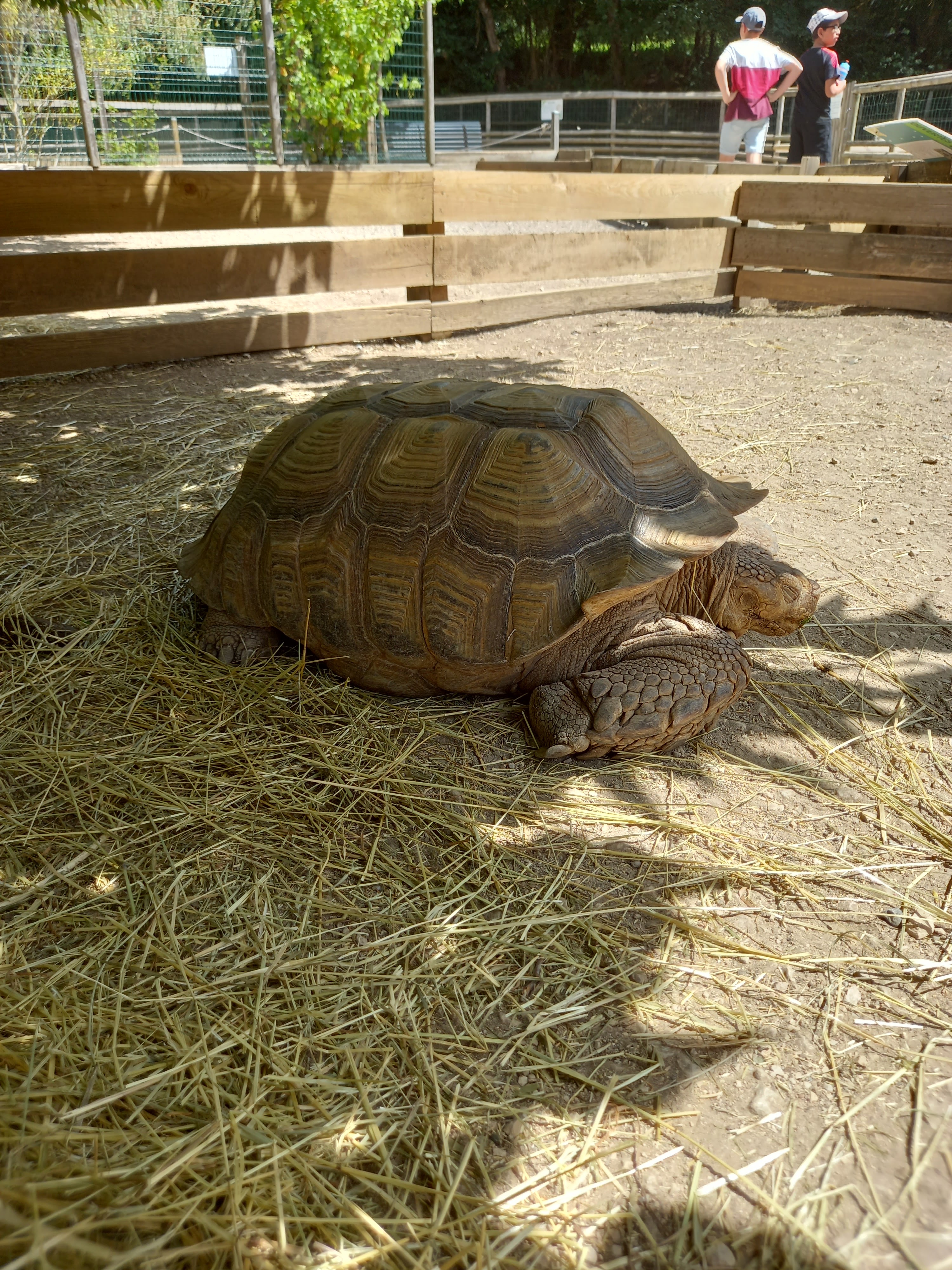 Photo n° 4 de l'avis de Lysiane.a fait le 19/07/2023 à 21:15