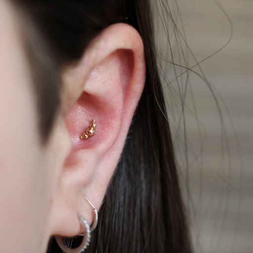 Explore dog print tattoo ideas, creative tattoo ideas in Toledo, available at Piercings by Caitlin presents Holier Toledo