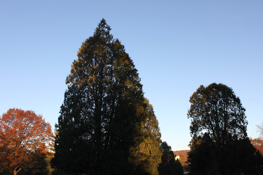 Park «Haym Solomon Memorial Park», reviews and photos, 200 Moores Rd, Malvern, PA 19355, USA