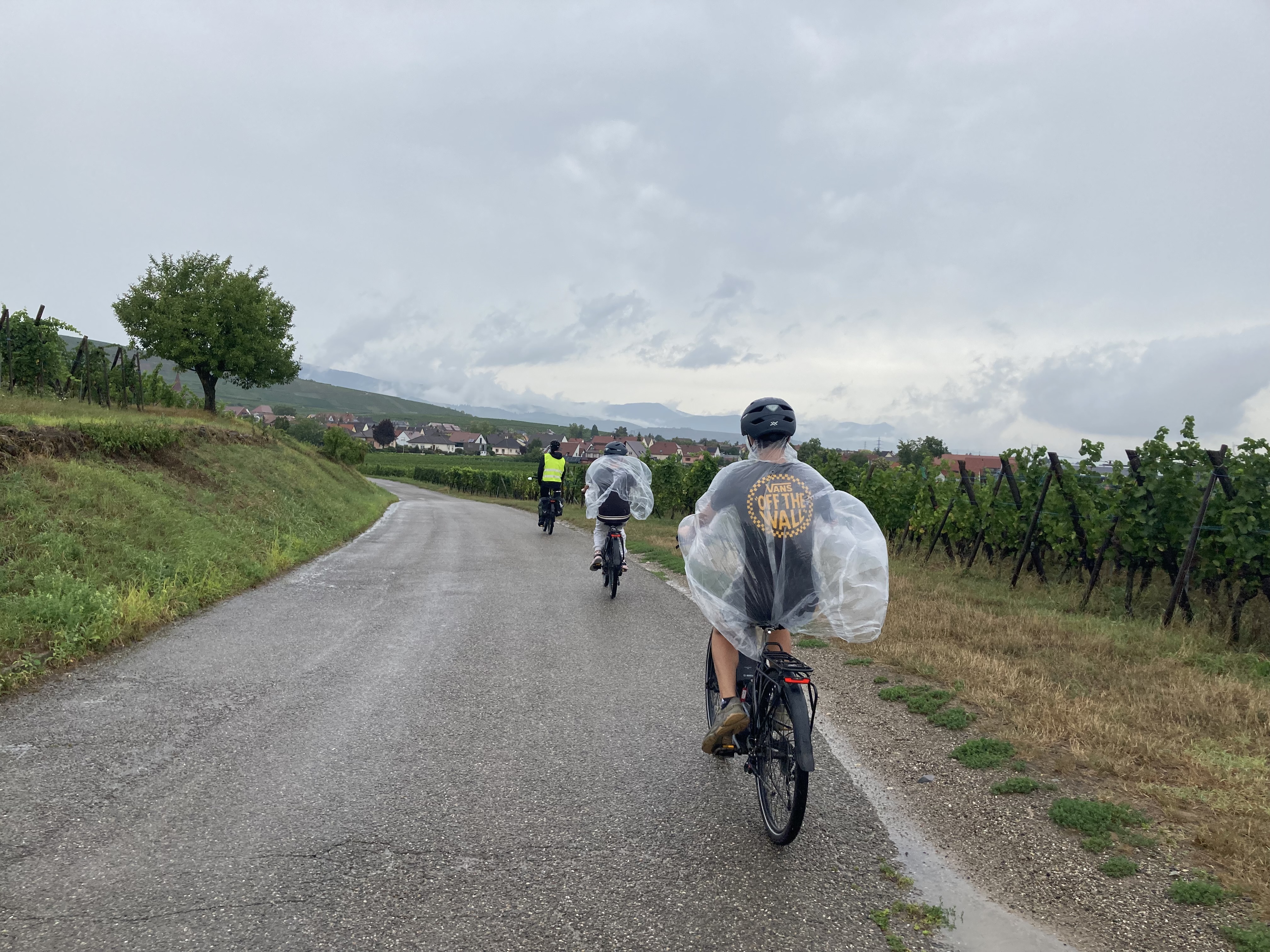 Photo n° 1 de l'avis de A.o fait le 26/08/2023 à 10:22