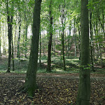 Photo n°4 de l'avis de Tatyana.r fait le 09/10/2019 à 05:30 sur le  Herkules Terrassen GmbH & Co.KG à Kassel