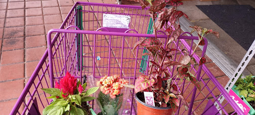 Discount Store «99 Cents Only Stores», reviews and photos, 11160 Magnolia Ave, Riverside, CA 92505, USA