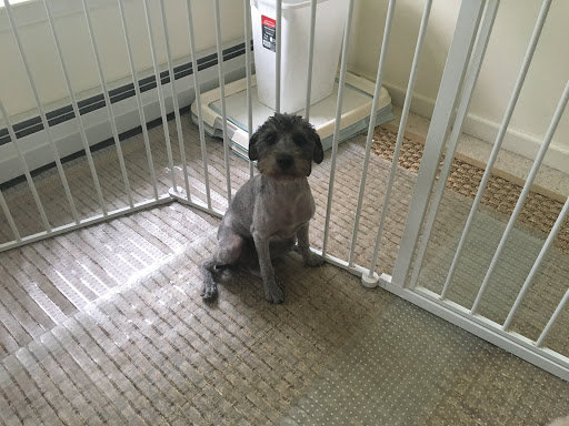 Pet Supply Store «PetSmart», reviews and photos, 501 Frank Sottile Blvd, Kingston, NY 12401, USA