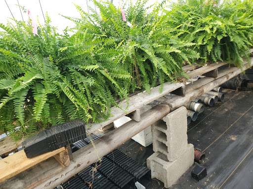 Garden Center «Beachside Gardens & Gifts», reviews and photos, 3725 US-12, Michigan City, IN 46360, USA