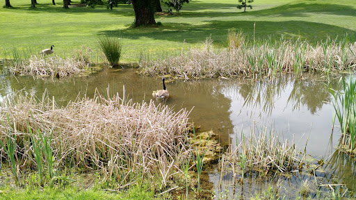 Golf Course «Colwood Golf Center», reviews and photos, 7313 NE Columbia Blvd, Portland, OR 97218, USA