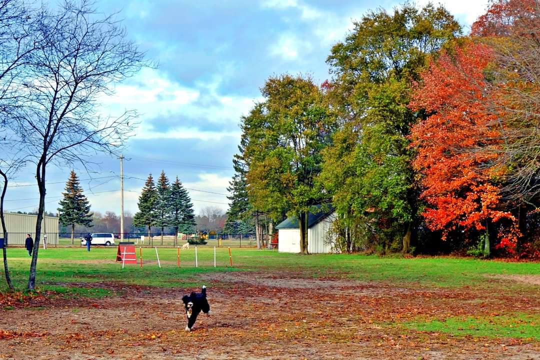 Park Township Dog Park