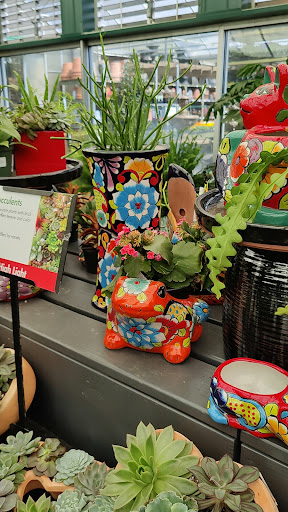 Garden Center «Pike Nurseries», reviews and photos, 6050 Bethelview Rd, Cumming, GA 30040, USA