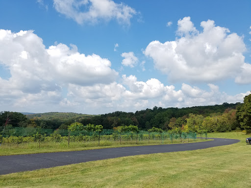Winery «Demarest Hill Winery», reviews and photos, 81 Pine Island Turnpike, Warwick, NY 10990, USA