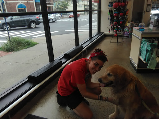 Pet Supply Store «Pet Supplies Plus», reviews and photos, 531 Monroe Ave, Rochester, NY 14607, USA