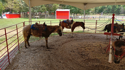 Tourist Attraction «Lucky Ladd Farms», reviews and photos, 4374 Rocky Glade Rd, Eagleville, TN 37060, USA