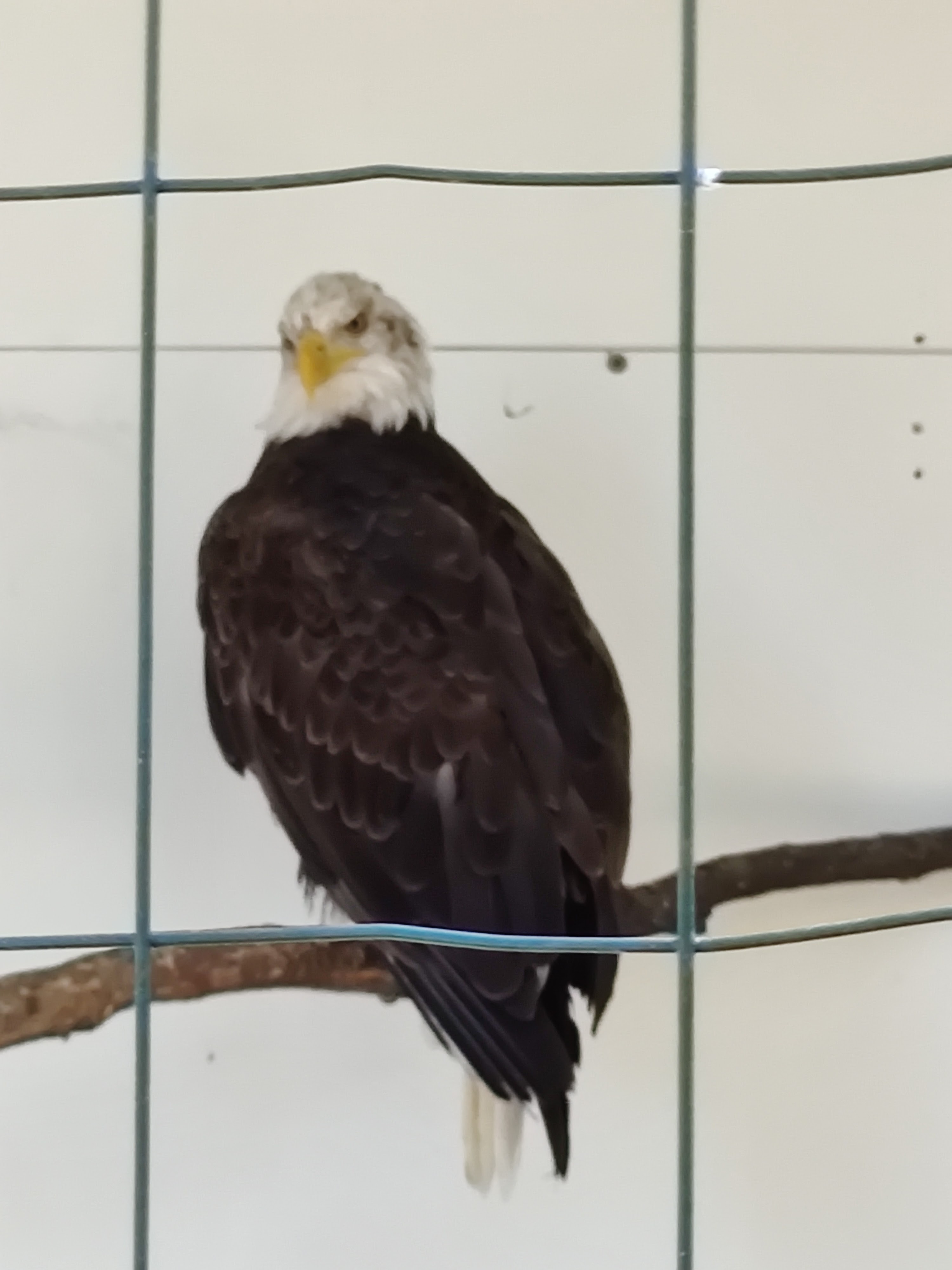 Photo n° 8 de l'avis de Julien.o fait le 14/08/2020 à 12:49