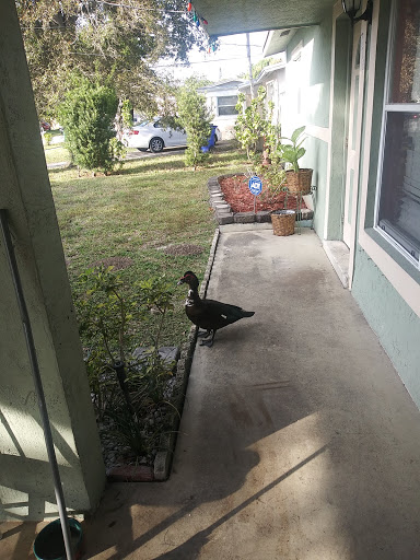 Discount Store «Dollar General», reviews and photos, 700 N State Rd 7, Margate, FL 33063, USA