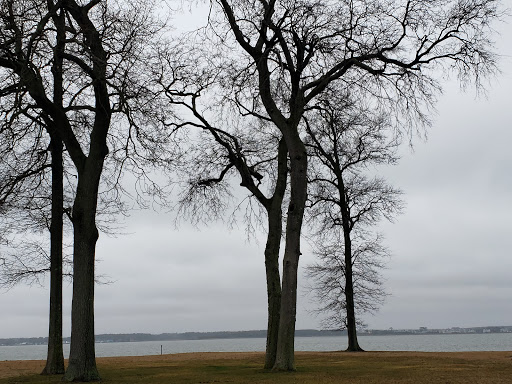 Golf Club «Cripple Creek Golf and Country Club», reviews and photos, 29494 Cripple Creek Rd, Dagsboro, DE 19939, USA