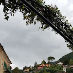 Photo n°1 de l'avis de Hamed.i fait le 21/09/2021 à 09:48 sur le  The Port Cafè à Argegno