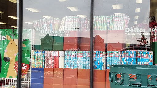 Dollar Store «Dollar Tree», reviews and photos, 10776 Sudley Manor Dr, Manassas, VA 20109, USA
