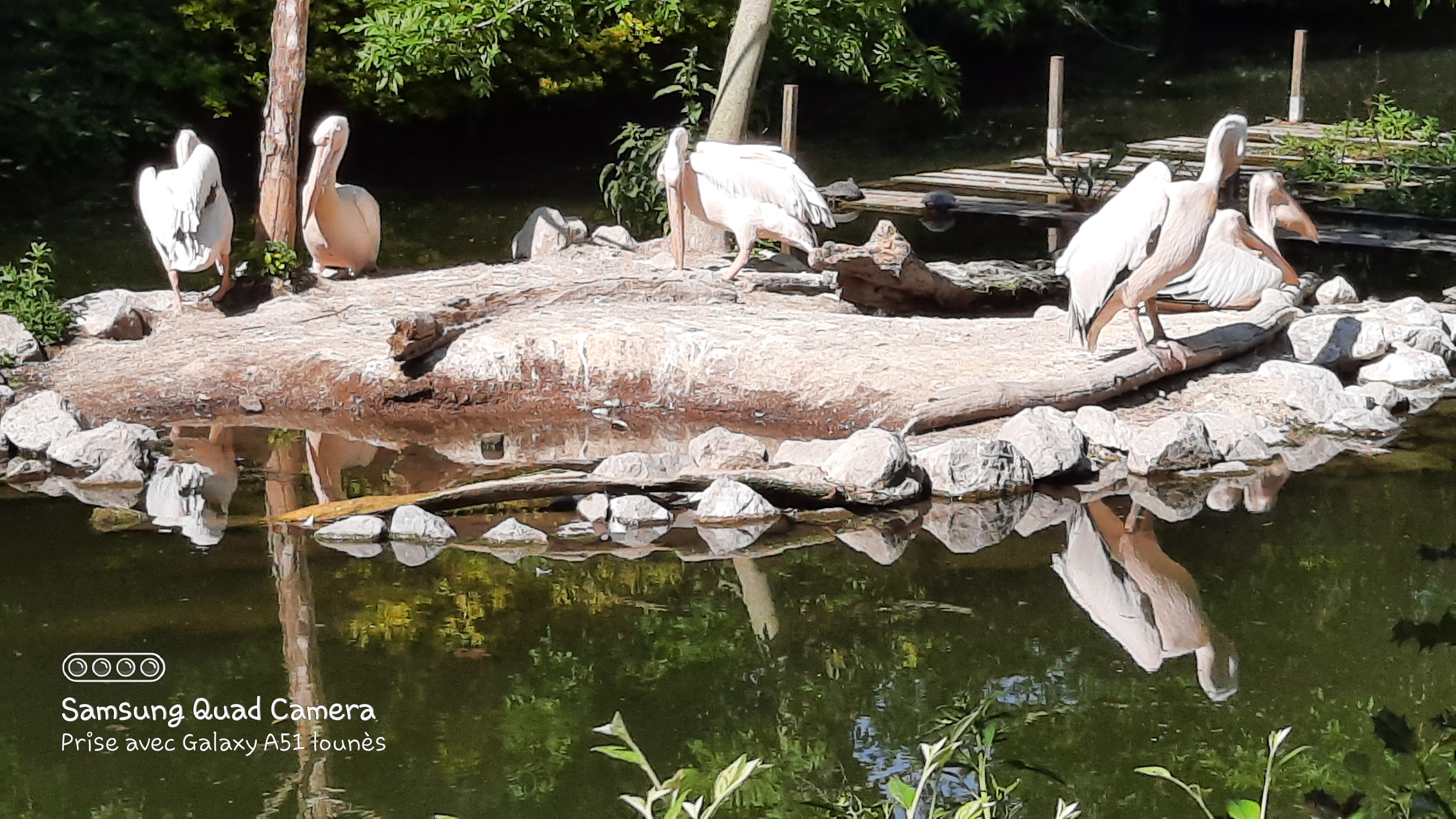 Photo n° 26 de l'avis de Lounes. fait le 02/06/2021 à 21:26