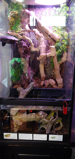 Pet Store «Animal House», reviews and photos, 7869 Hamilton Ave, Cincinnati, OH 45231, USA