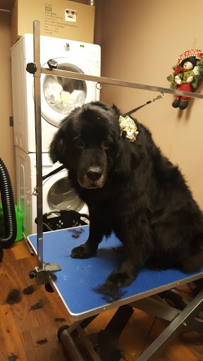 Pet Store «Pet Valu», reviews and photos, 2645 Shillington Rd, Sinking Spring, PA 19608, USA