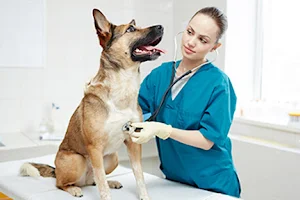 Veterinary Emergency Clinic image