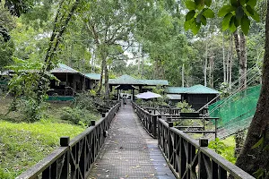 Tabin Wildlife Resort Lahad Datu, Sabah. image