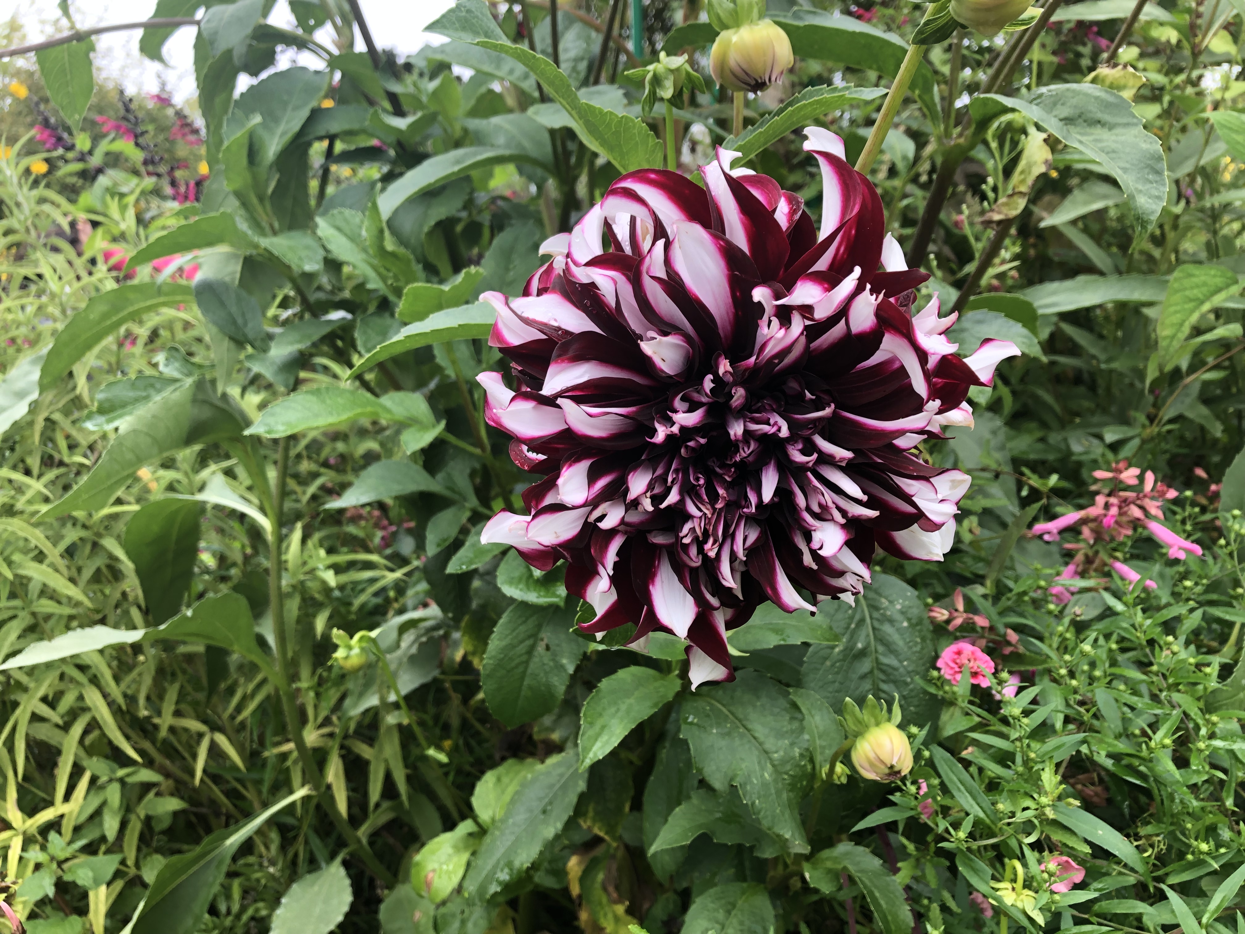 Photo n° 12 de l'avis de Manu. fait le 02/10/2022 à 18:08