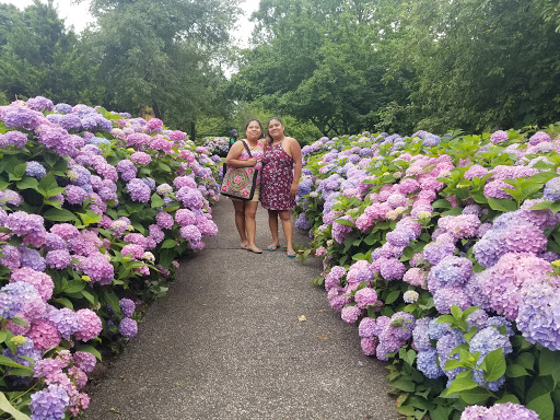 Park «Glen Island Park», reviews and photos, Weyman Ave, New Rochelle, NY 10805, USA