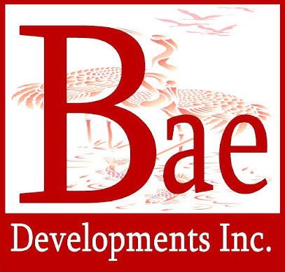 Bae Developments Inc.