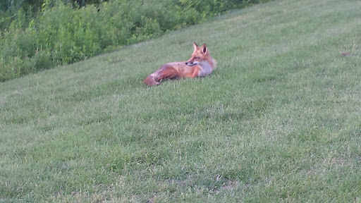 Golf Club «Compass Pointe Golf Courses», reviews and photos, 9010 Fort Smallwood Rd, Pasadena, MD 21122, USA