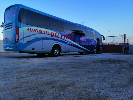 Autobuses Del Evora