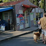 Photo n° 2 de l'avis de Dolores.i fait le 21/05/2023 à 11:43 pour Camping Le Sous Bois Oléron à La Cotinière à Saint-Pierre-d'Oléron