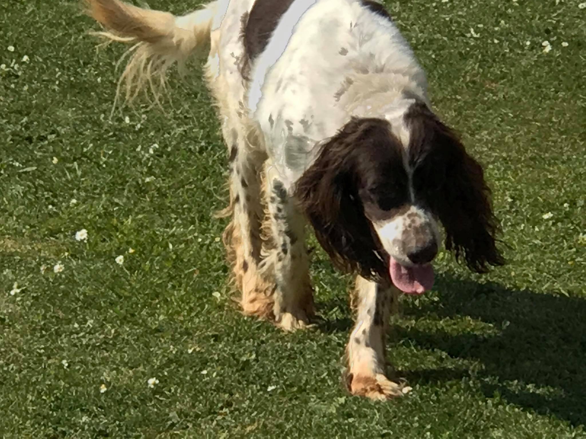 Photo n° 3 de l'avis de Nieve.o fait le 23/04/2020 à 14:44