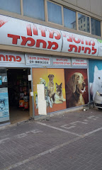 תמונה