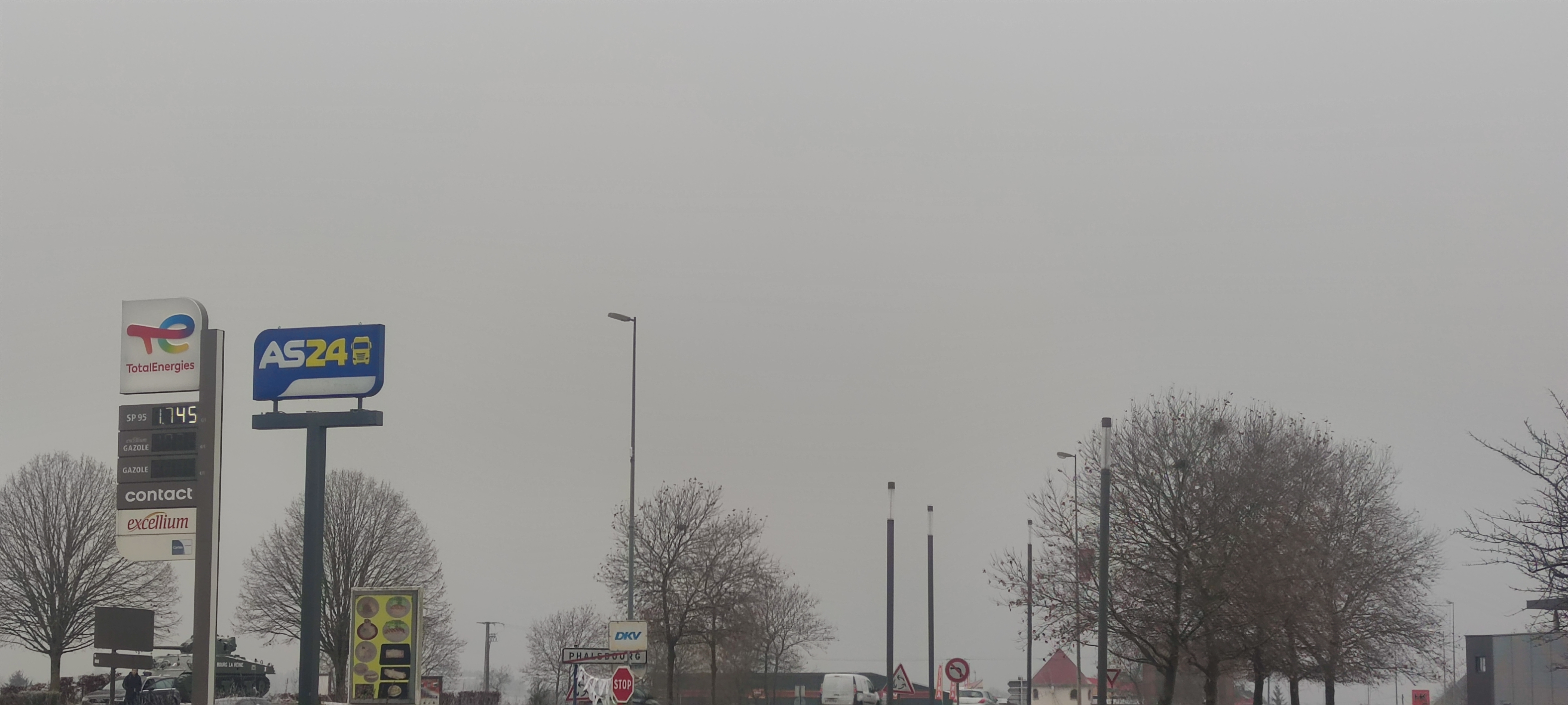 Photo n° 1 de l'avis de DOBERMANN.A fait le 11/12/2022 à 11:25
