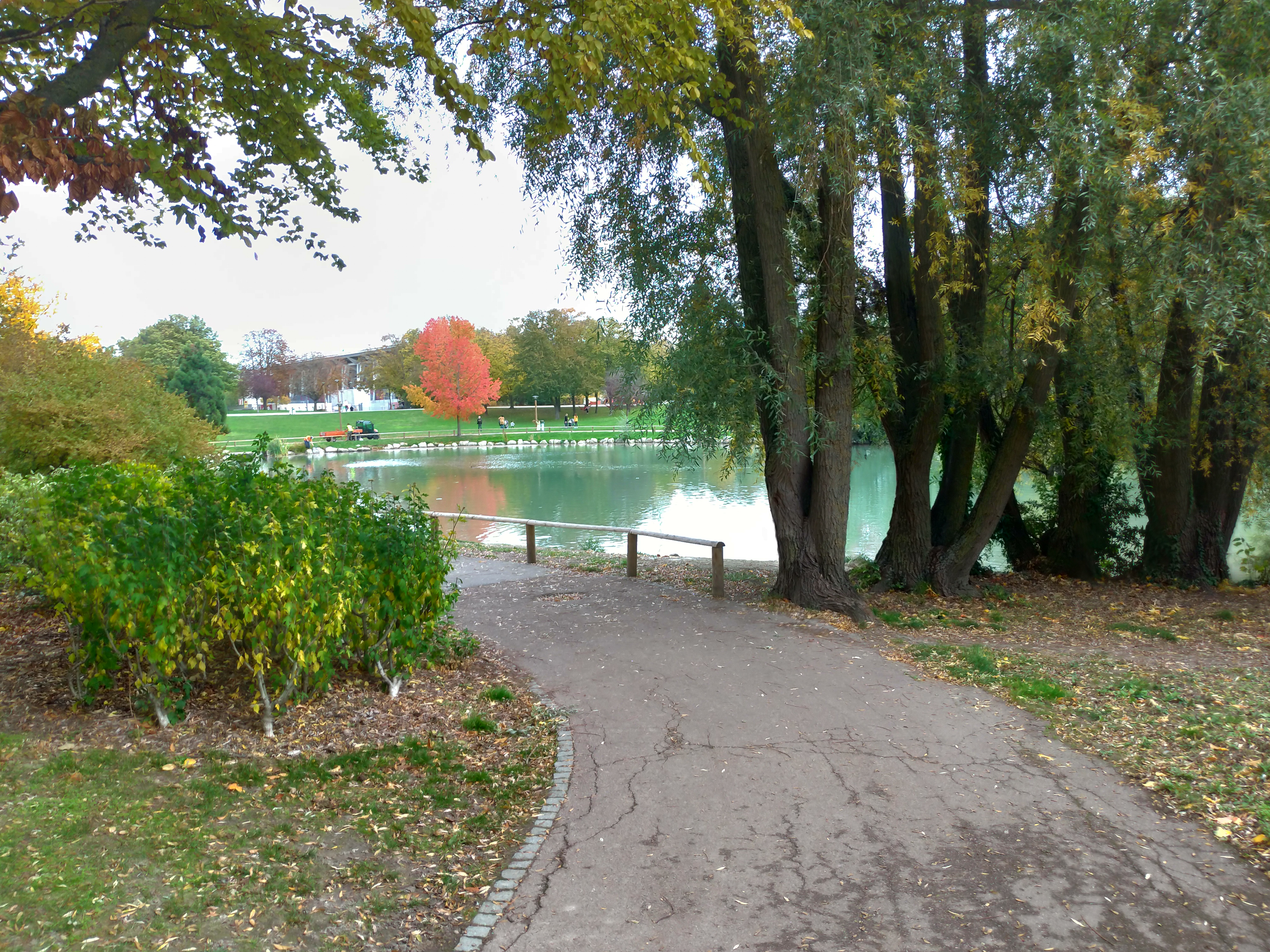 Photo n° 24 de l'avis de Benjamin.e fait le 22/10/2020 à 20:16
