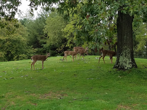 Golf Course «White Deer Park and Golf», reviews and photos, 352 Allenwood Camp Lane, Montgomery, PA 17752, USA