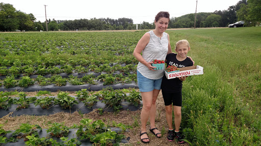 Grocery Store «Grasso Girls Farm Market», reviews and photos, 353 Wolfert Station Rd, Mullica Hill, NJ 08062, USA