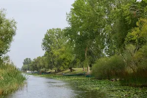 Delta Dunării image