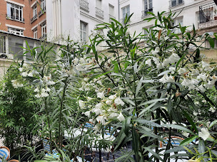 Photo n°24 de COJEAN CHOISEUL à Paris ()