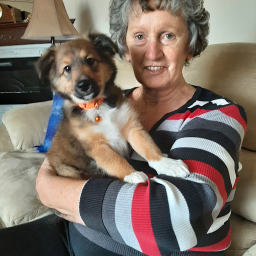Oromocto Veterinary Hospital image