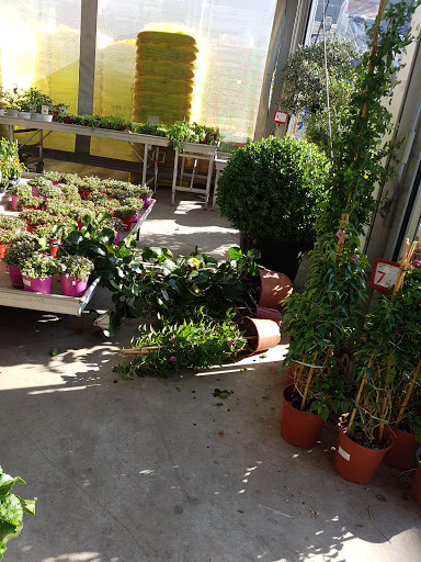 Landscaping courses Roma